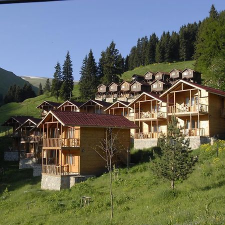 Zitas Zigana Yayla Tatil Koyu Мачка Экстерьер фото