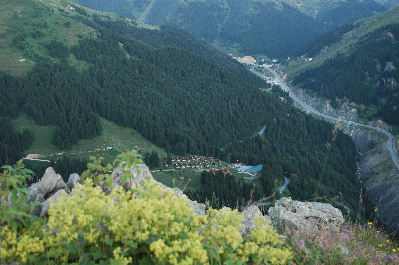 Zitas Zigana Yayla Tatil Koyu Мачка Экстерьер фото