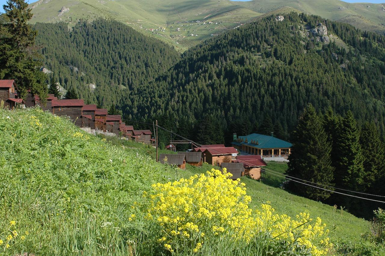 Zitas Zigana Yayla Tatil Koyu Мачка Экстерьер фото