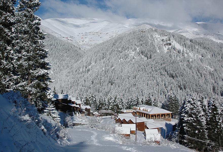 Zitas Zigana Yayla Tatil Koyu Мачка Экстерьер фото