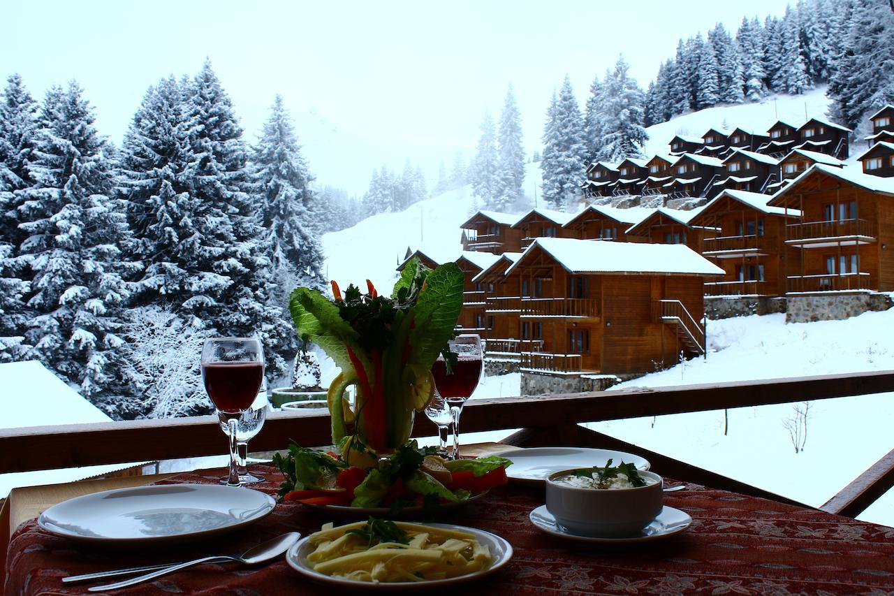 Zitas Zigana Yayla Tatil Koyu Мачка Экстерьер фото