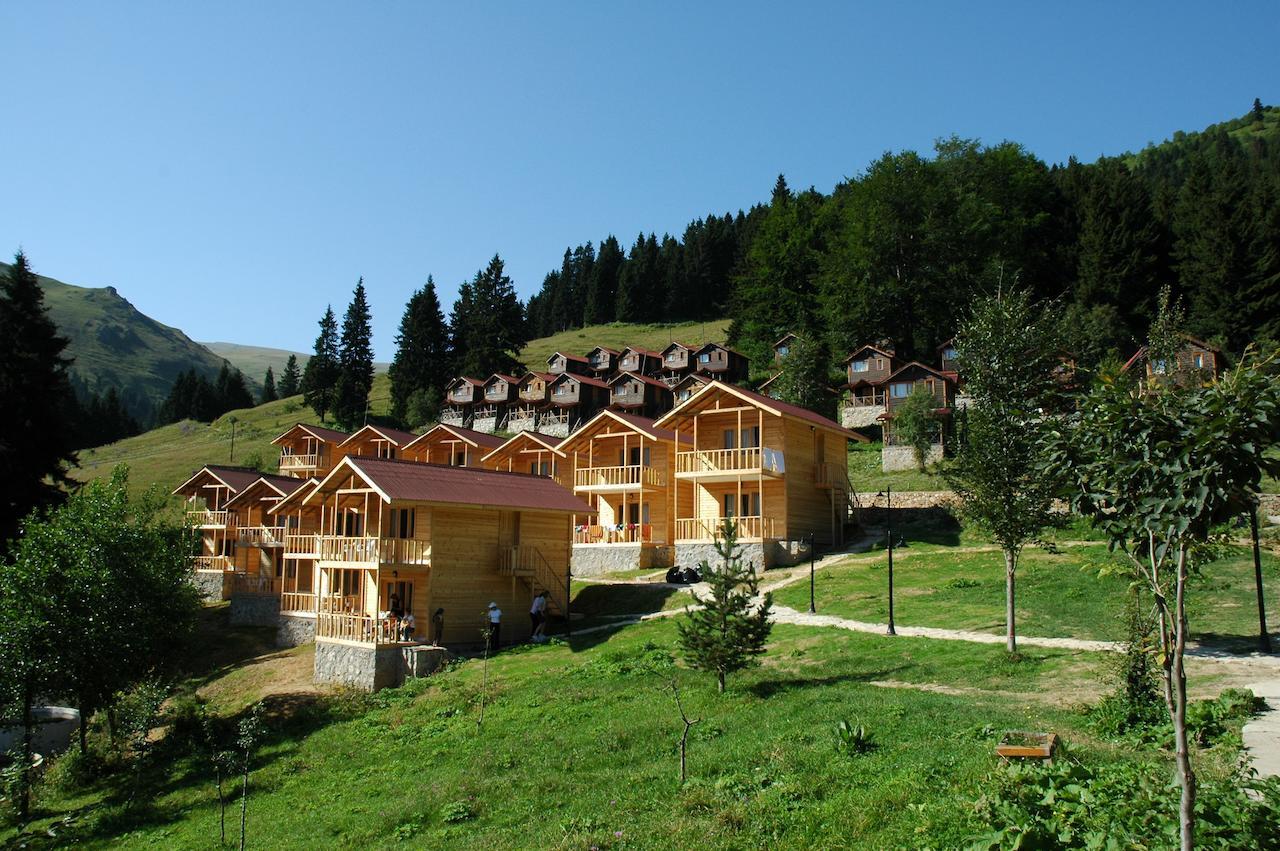 Zitas Zigana Yayla Tatil Koyu Мачка Экстерьер фото