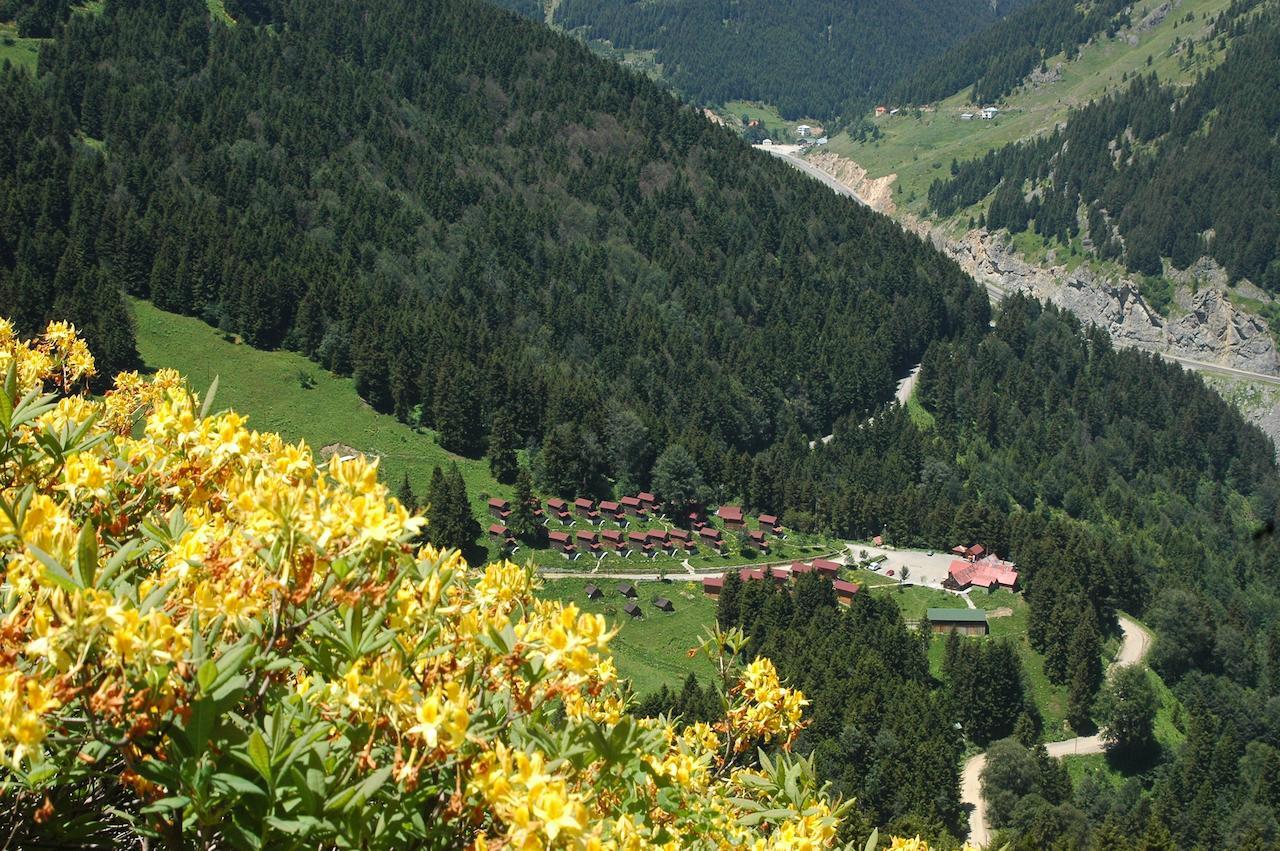 Zitas Zigana Yayla Tatil Koyu Мачка Экстерьер фото