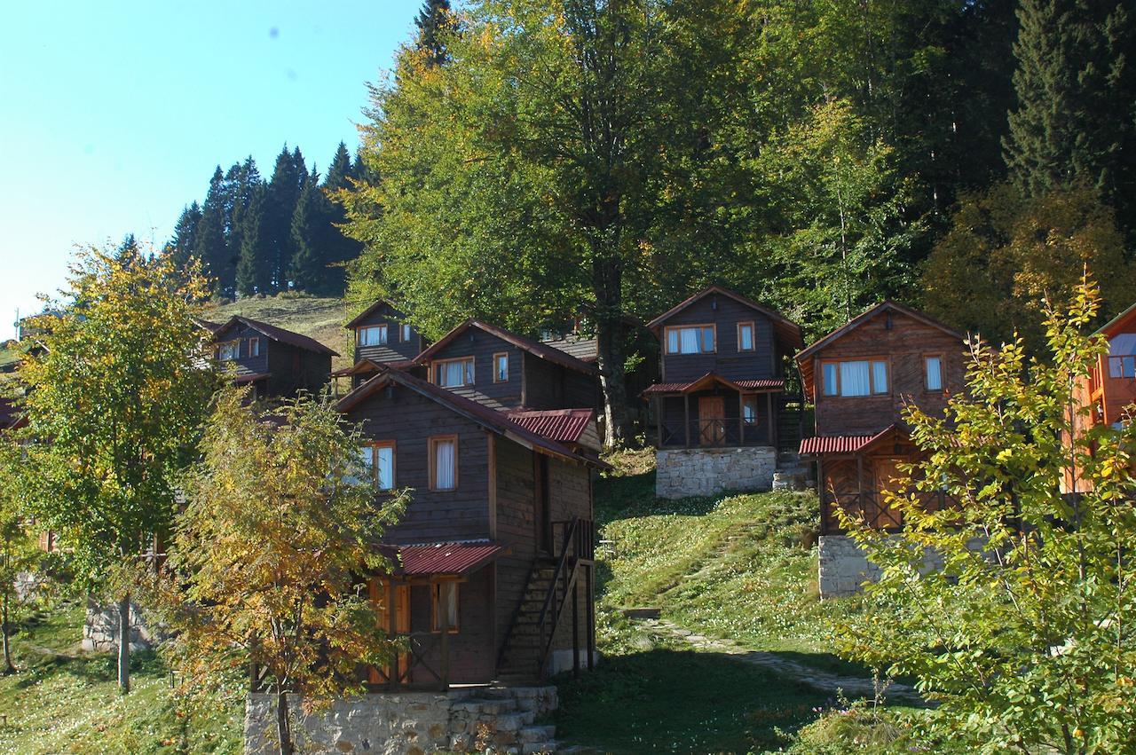 Zitas Zigana Yayla Tatil Koyu Мачка Экстерьер фото