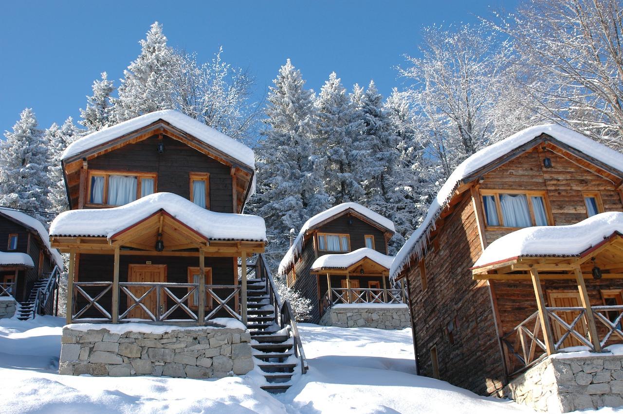 Zitas Zigana Yayla Tatil Koyu Мачка Экстерьер фото