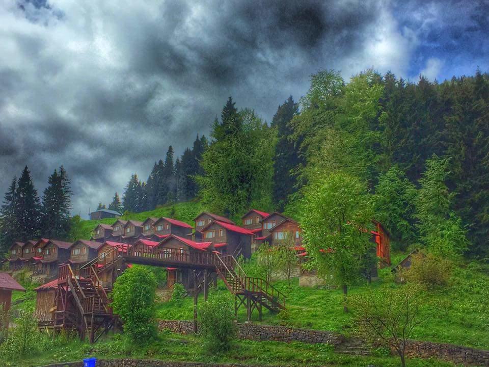 Zitas Zigana Yayla Tatil Koyu Мачка Экстерьер фото