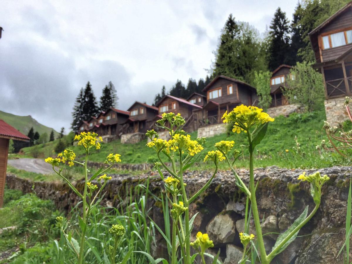 Zitas Zigana Yayla Tatil Koyu Мачка Экстерьер фото