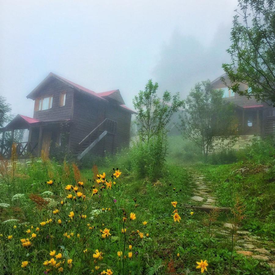 Zitas Zigana Yayla Tatil Koyu Мачка Экстерьер фото