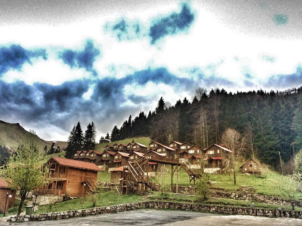 Zitas Zigana Yayla Tatil Koyu Мачка Экстерьер фото