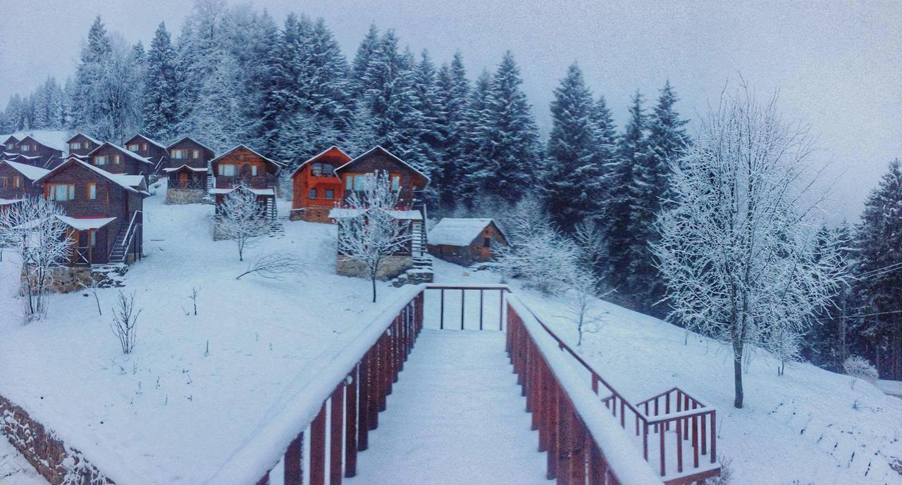 Zitas Zigana Yayla Tatil Koyu Мачка Экстерьер фото